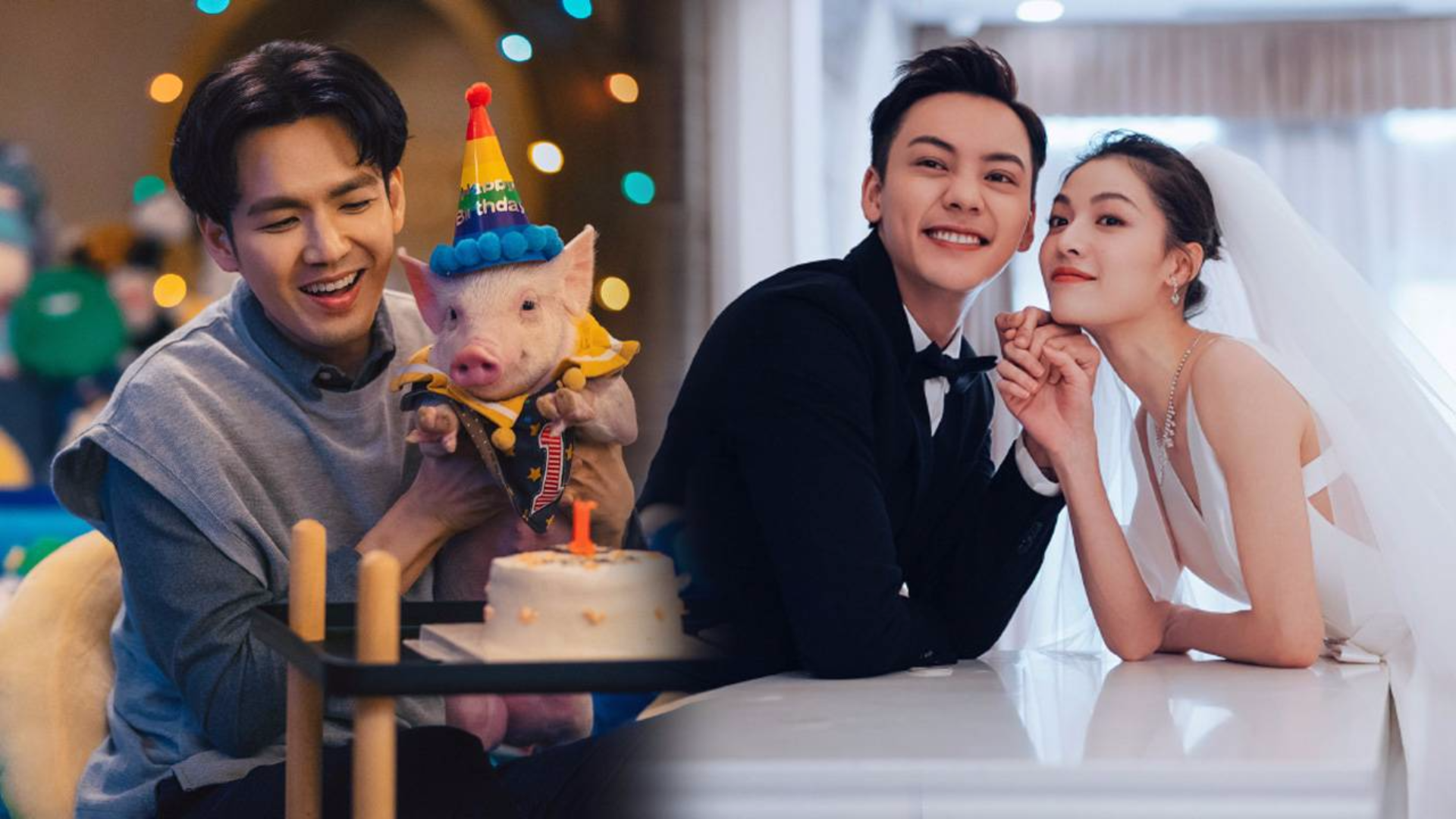 《宠爱》陈伟霆吴磊化身遛宠天团!钟汉良身陷养猪难题