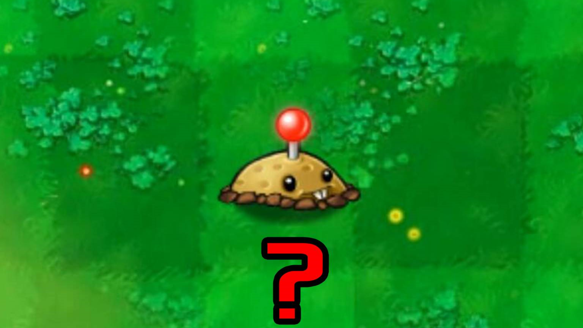 土豆雷埋在地底下的部分是什么?