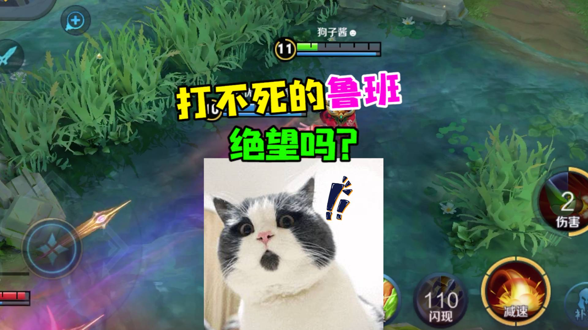 刚认识你们就这么熟络了林洛洛