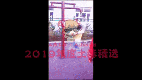 2019土味年度精选╳ACFUN:A秀土味