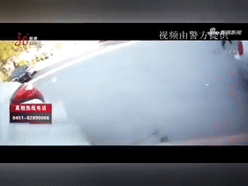 【年度沙雕】令人迷惑的沙雕合集2