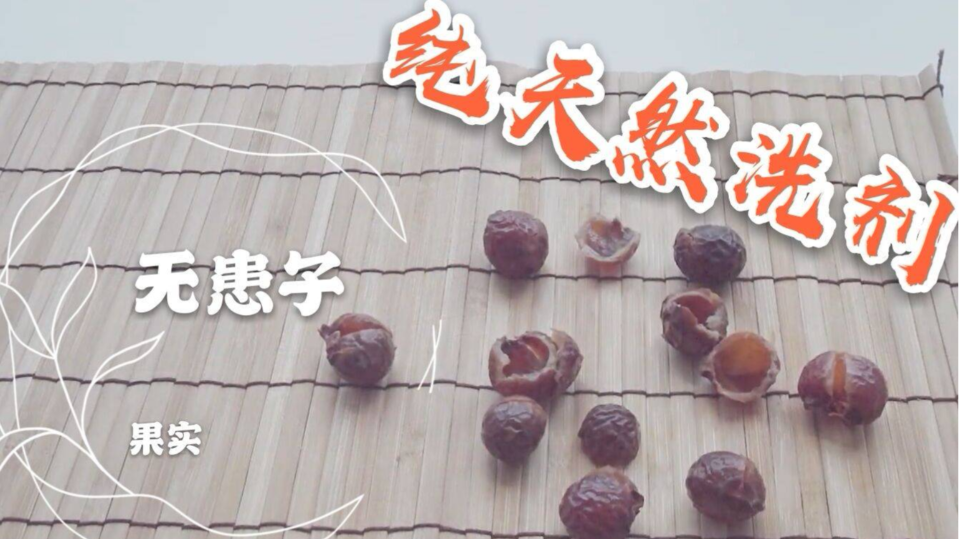 打败家中所有洗涤剂的性价比劲敌!纯天然无患子洗剂制作方法公开!