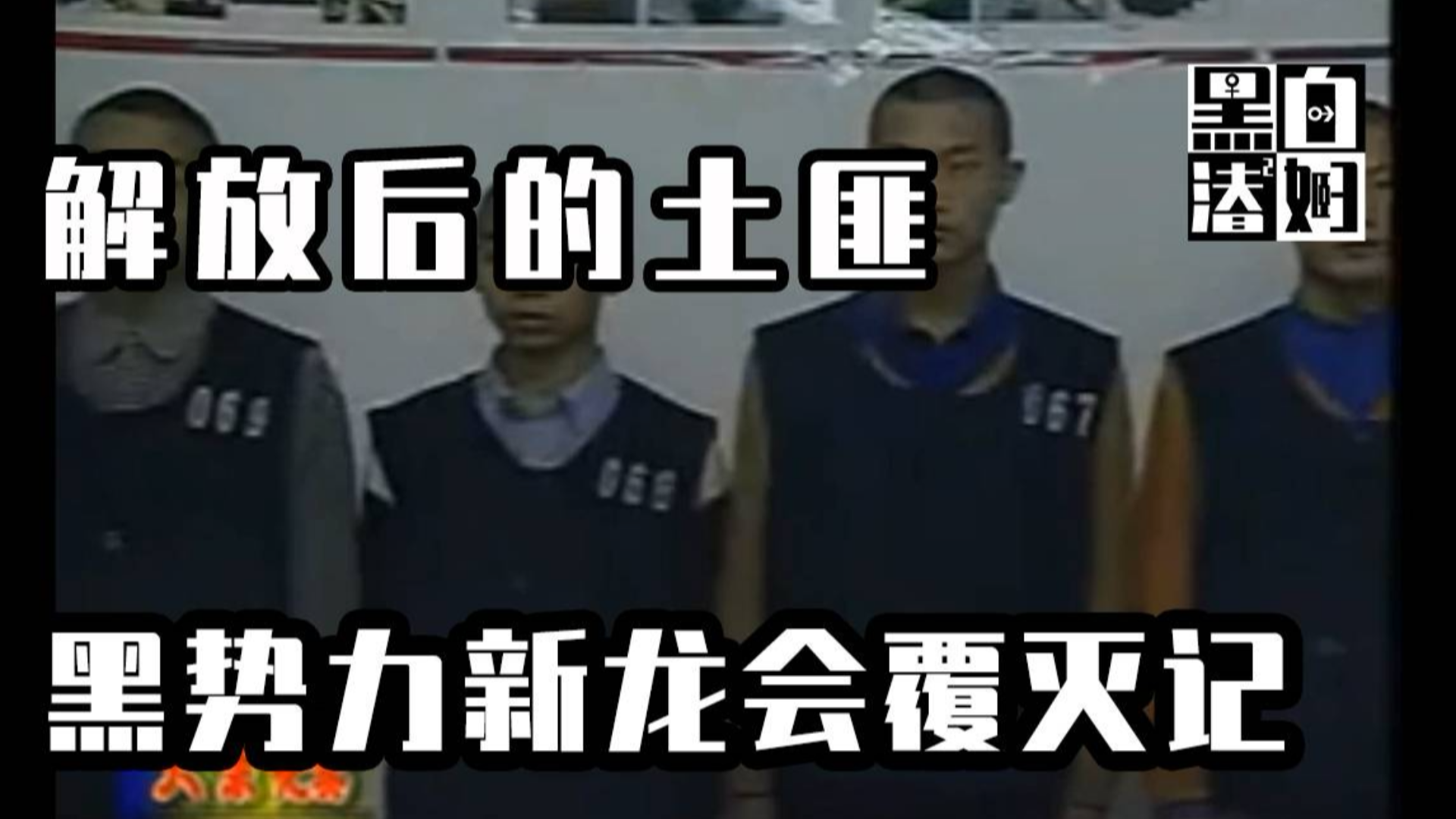 【趣案轻闻】解放后的土匪,新龙会覆灭记
