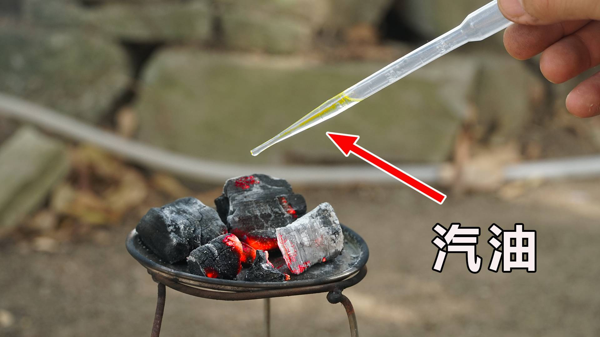 将"汽油"滴在烧红的木炭上,木炭会熄灭吗?