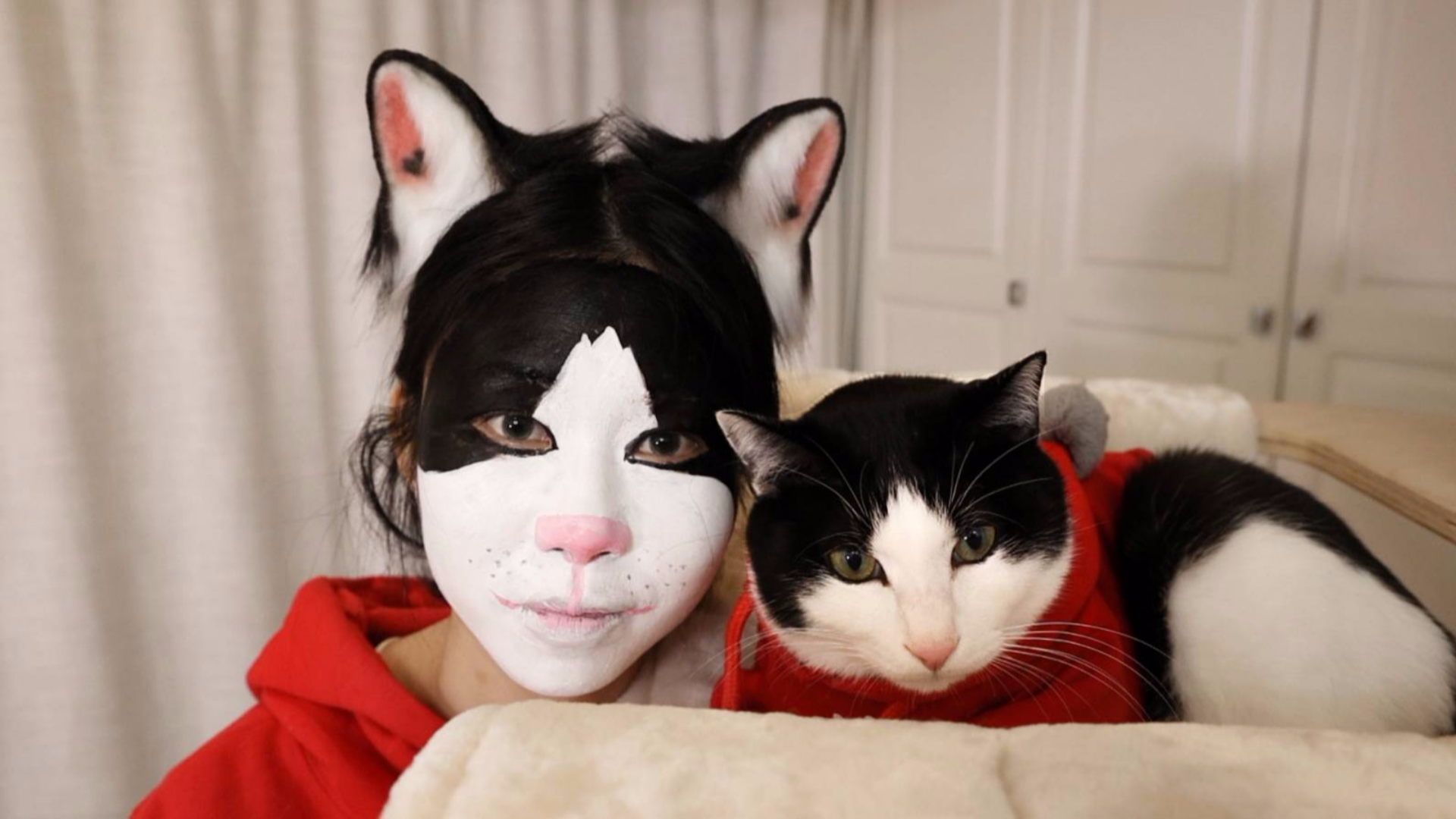 主人化猫仿妆,本猫一看惊了,猫:我???
