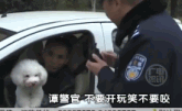 谭谈交通 谭警官别咬我的狗