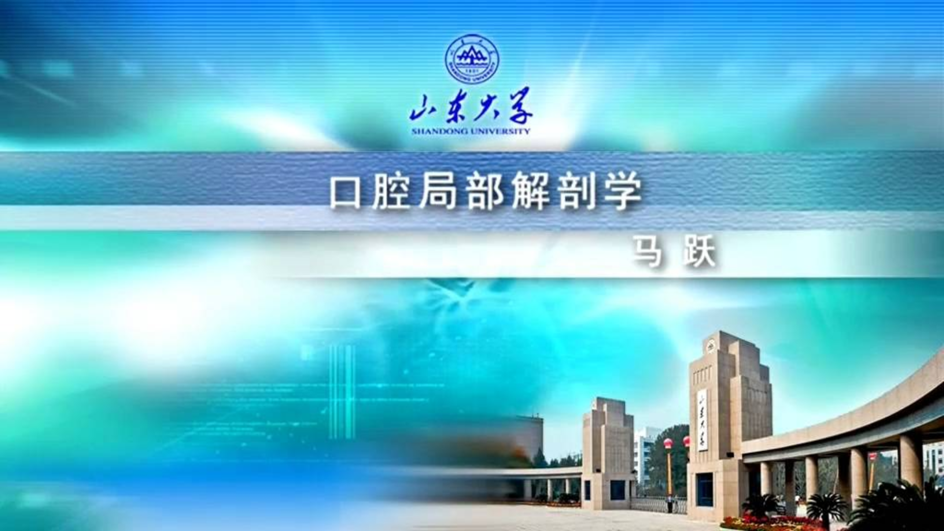 口腔局部解剖学-山东大学