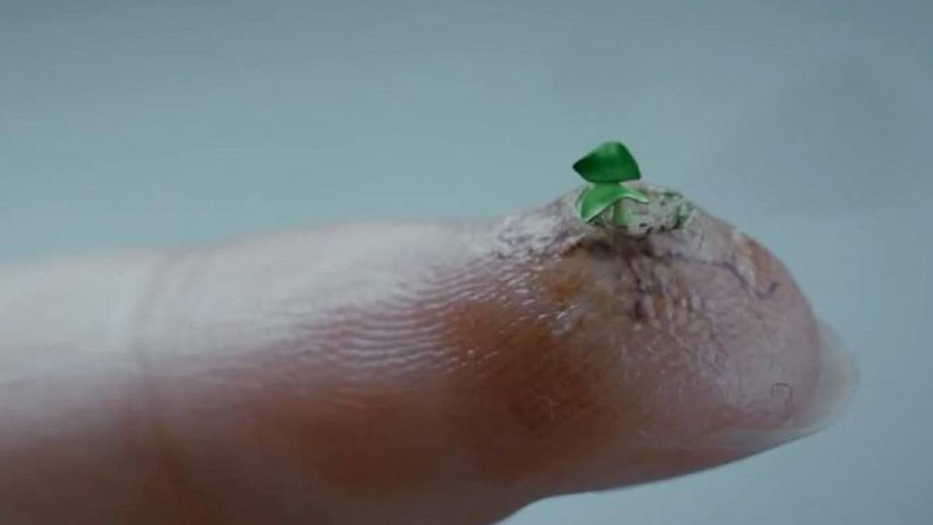 远古病毒突然爆发伦敦居民全变丧尸但这群丧尸可是有点蠢