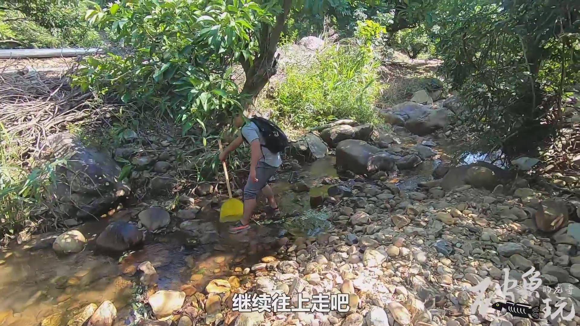 北方的冬天都在下雪,南方的朋友还在抓鱼!