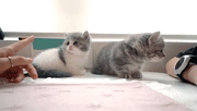 这才是猛男应该看的