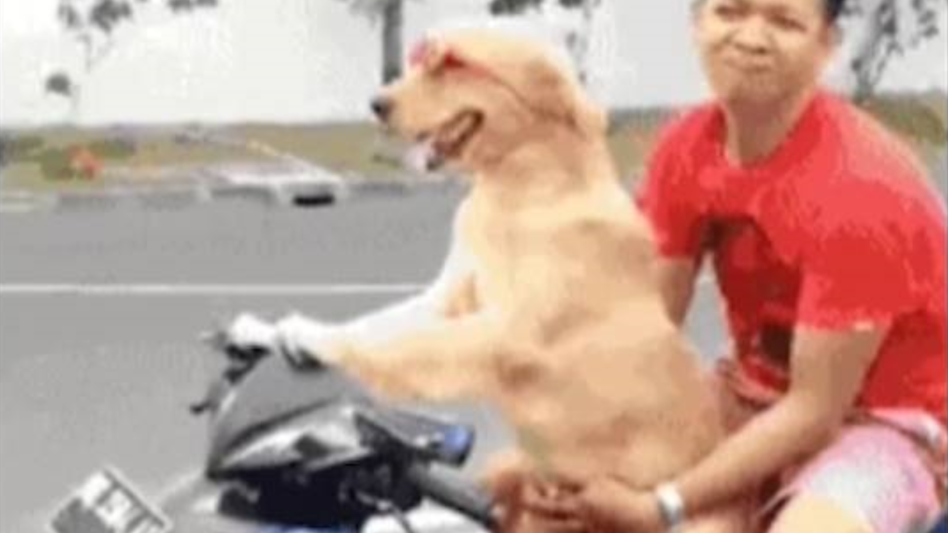 忍住不笑挑战