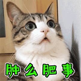 抖趣:被疫情憋疯了
