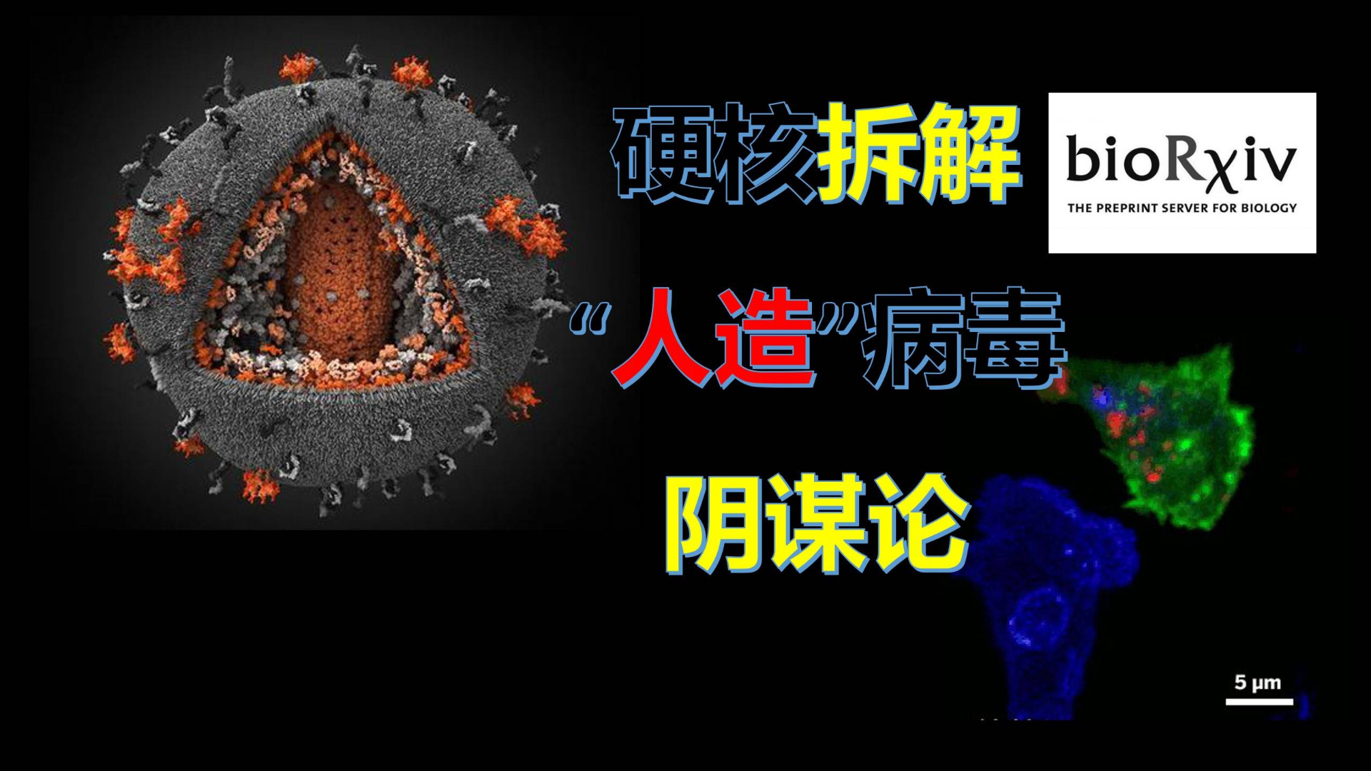 破解谣言:新冠病毒是人造的?硬核拆解“人造病毒”的阴谋论!