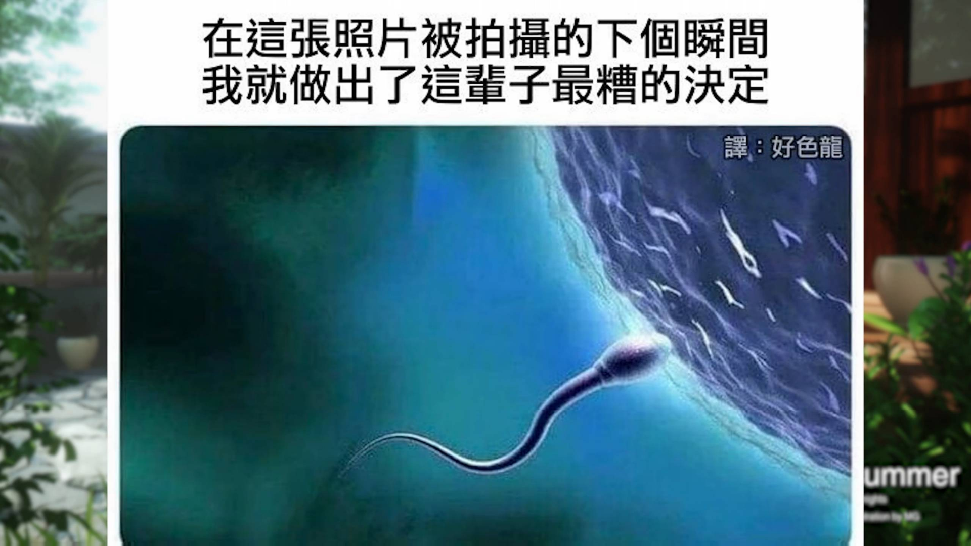 网络上那些有趣的沙雕图合集-第86期
