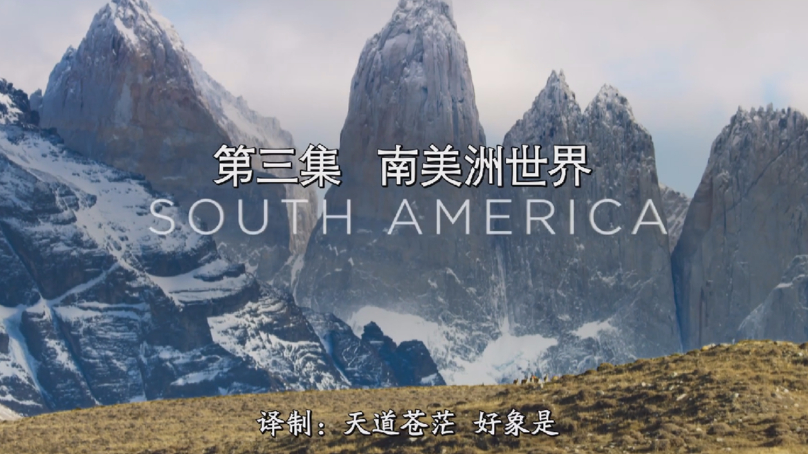 BBC南美洲世界 2019