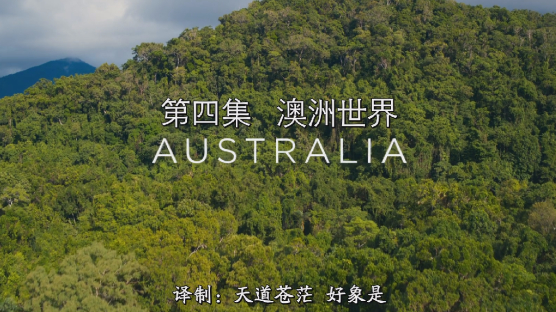 BBC澳洲世界Australia.2019