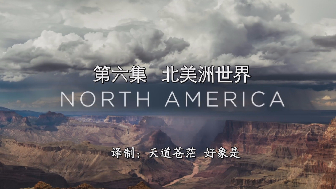 BBC北美洲世界 2019