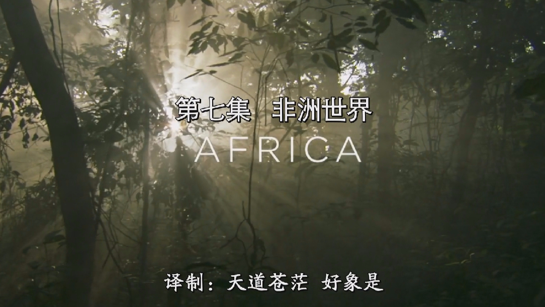 BBC非洲世界Africa.2019