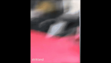 汽车沙雕奇葩故障合集(12)