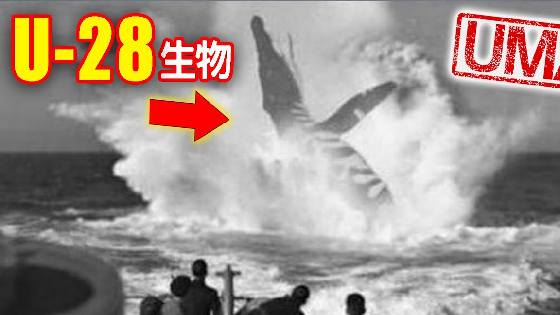 【UMA档案】U-28生物-一战时期德国潜艇遭遇不明巨大生物事件|未确认生物|超自然|古文明|外星人