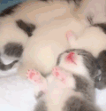 这才是猛男应该看的