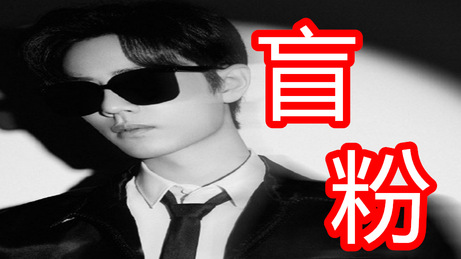 【肖战】盲粉