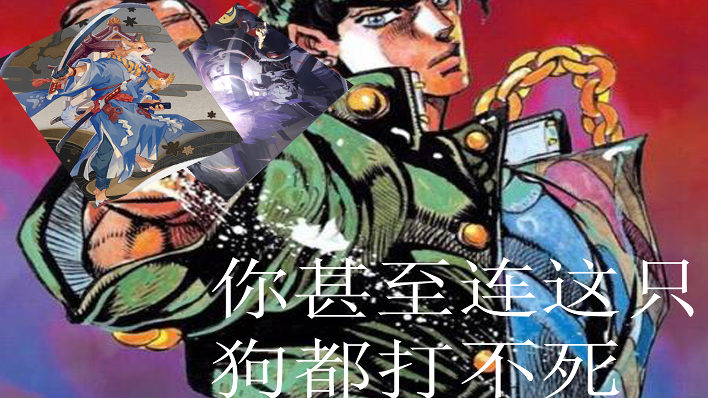 你甚至连这只狗都打不死