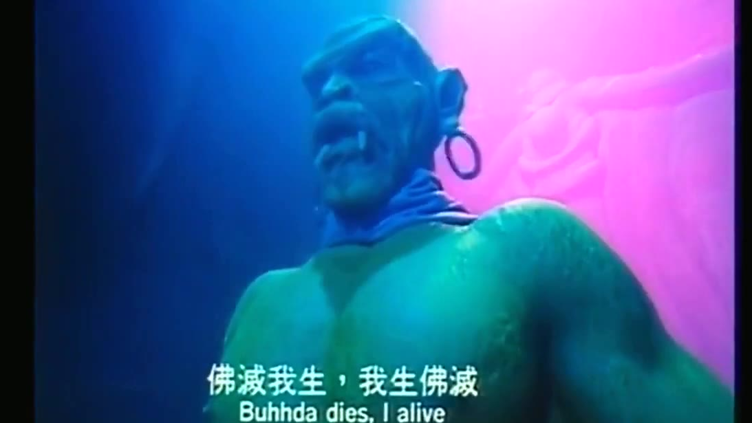 新十二生肖