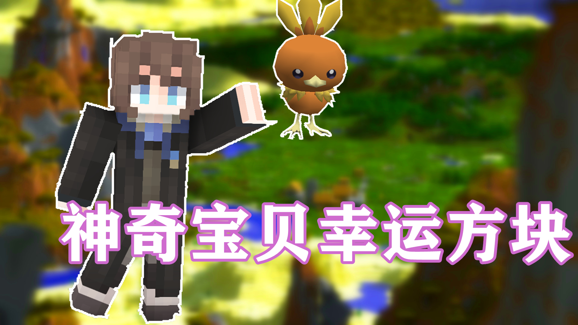 带着我的小火鸡开始宝可梦冒险~【萌新神奇宝贝1】