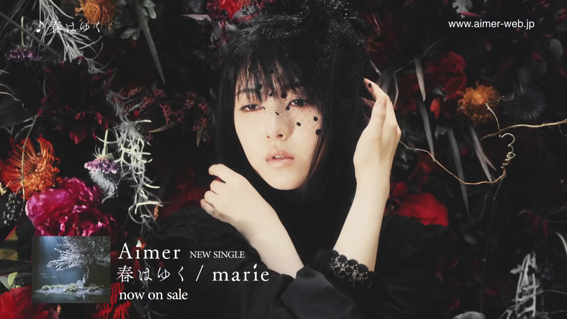 【滨边美波】aimer