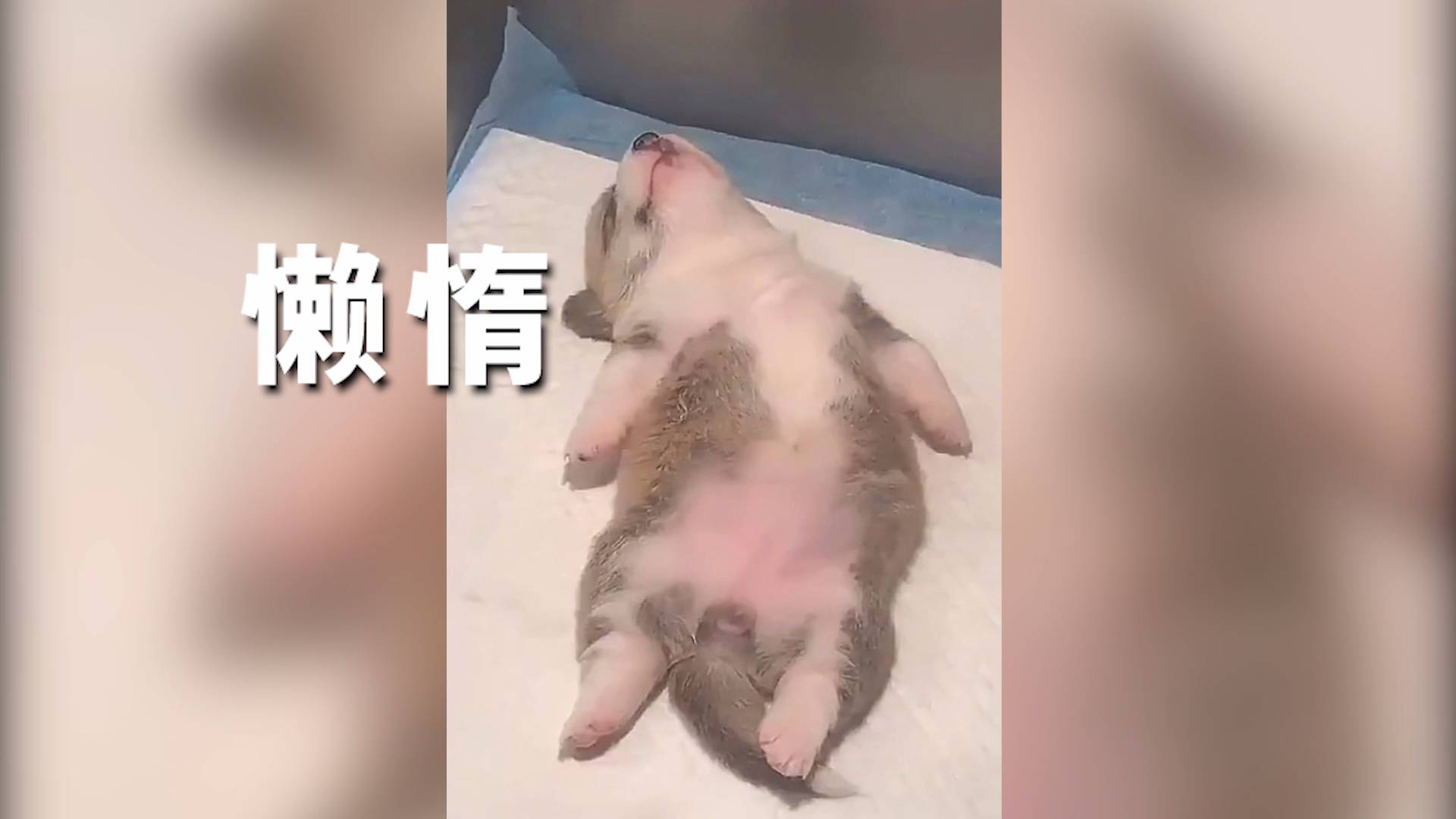 最毒舌正能量视频,坚持看完的都哭了