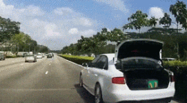 GIF:且行且珍惜!