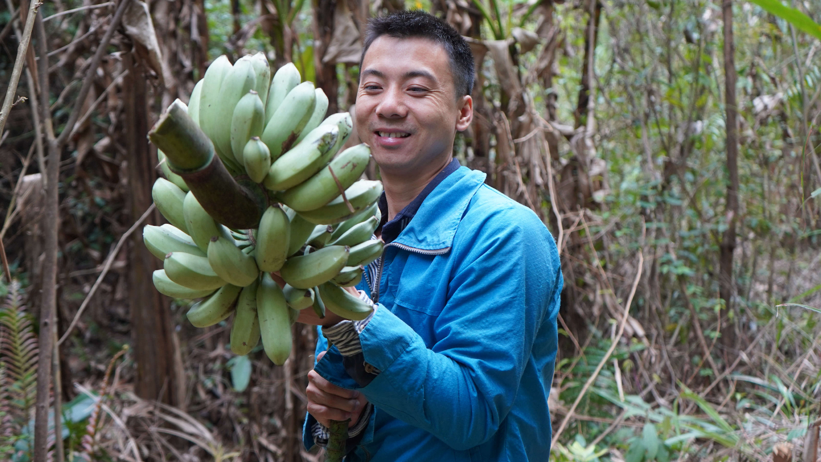 华农兄弟:野果没摘到,那就砍一把芭蕉,挖一个竹笋回去