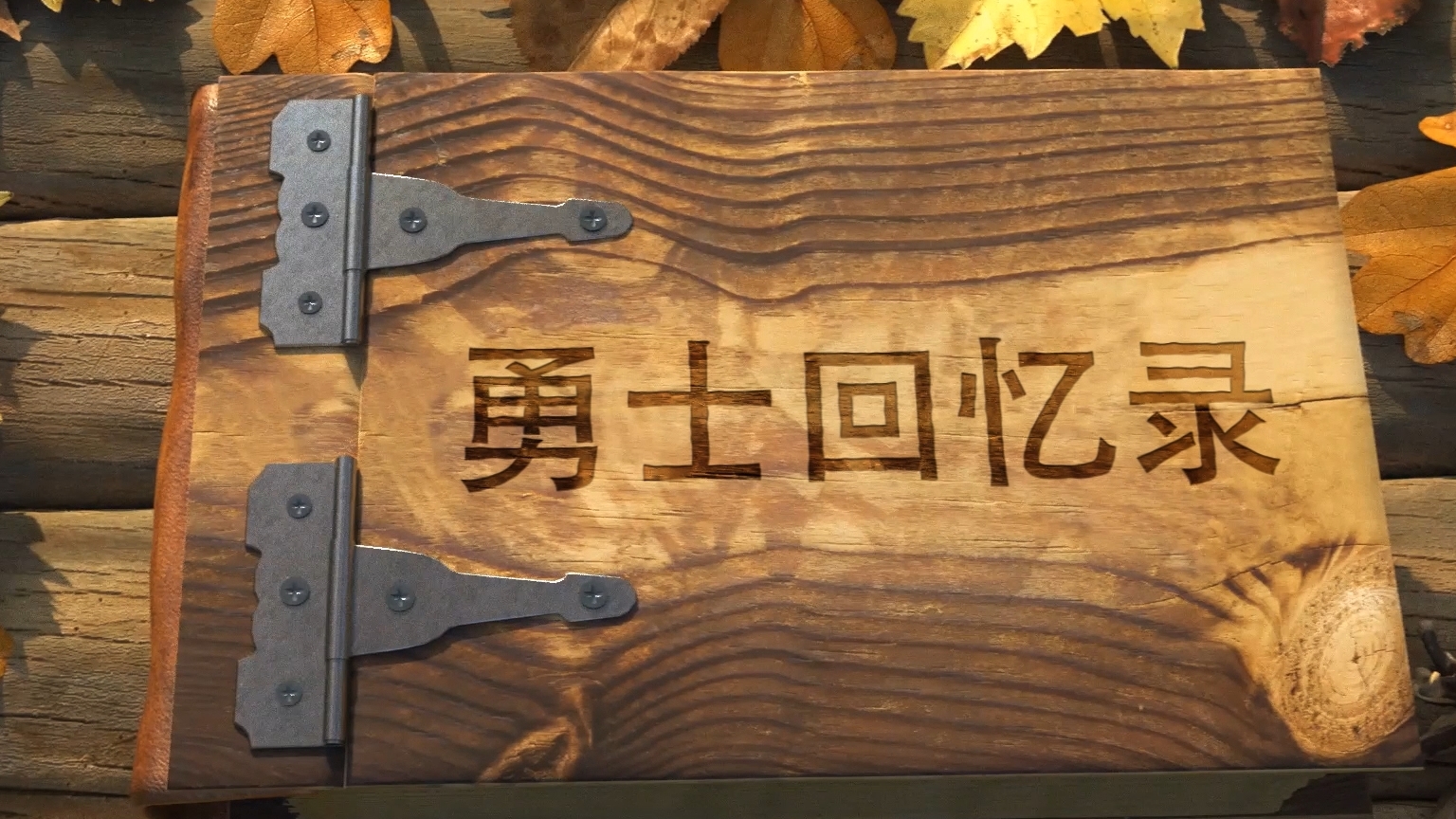 【勇士回忆录】03 告别和另一段冒险