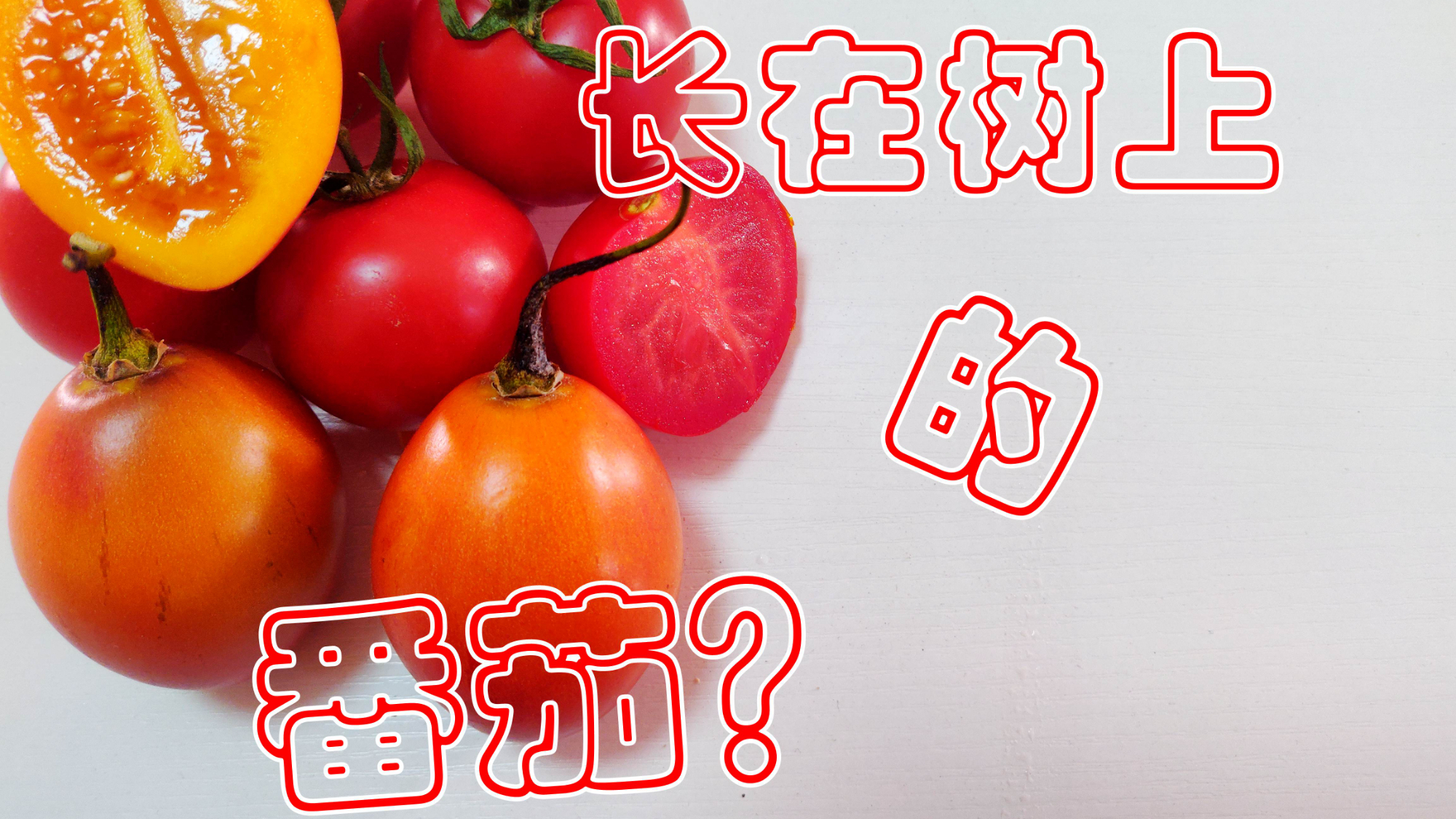 奇怪的“番茄”