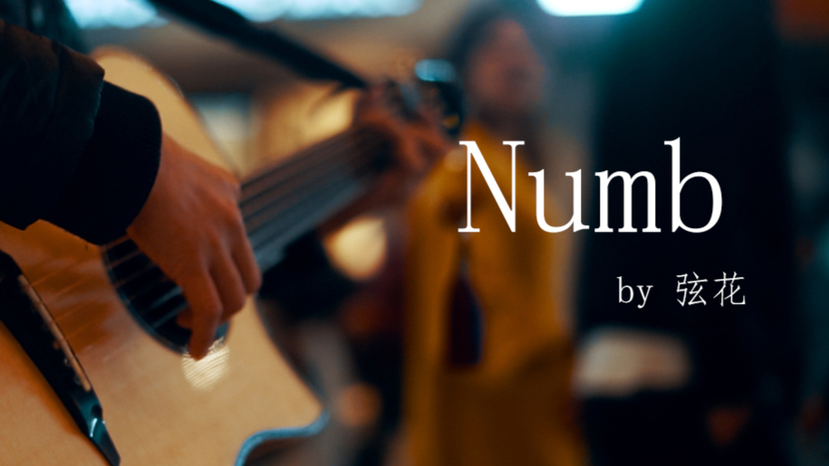 指弹吉他 林肯公园 Numb