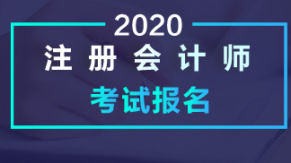 2020注册会计师税法 CPA税法 东奥刘颖 东奥CPA税法