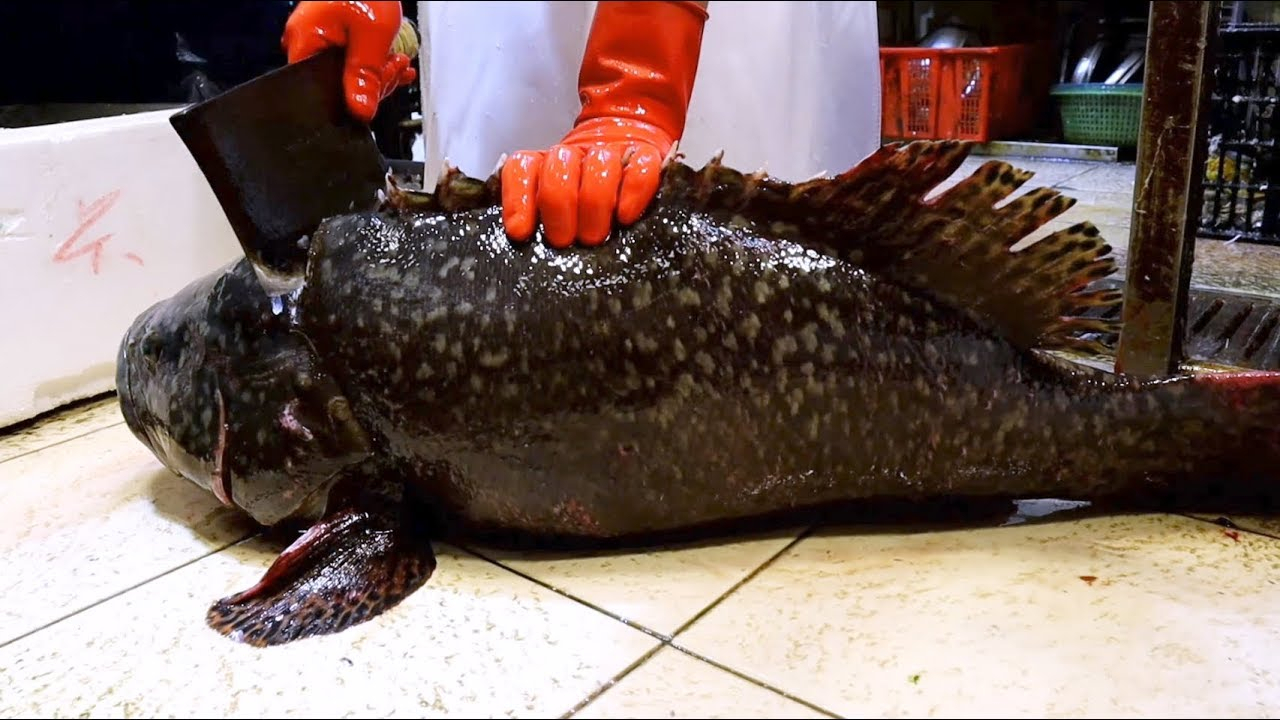 生劏大龙趸,没经验的可能驾驭不住呢!快看海鲜大叔如何大展身手!