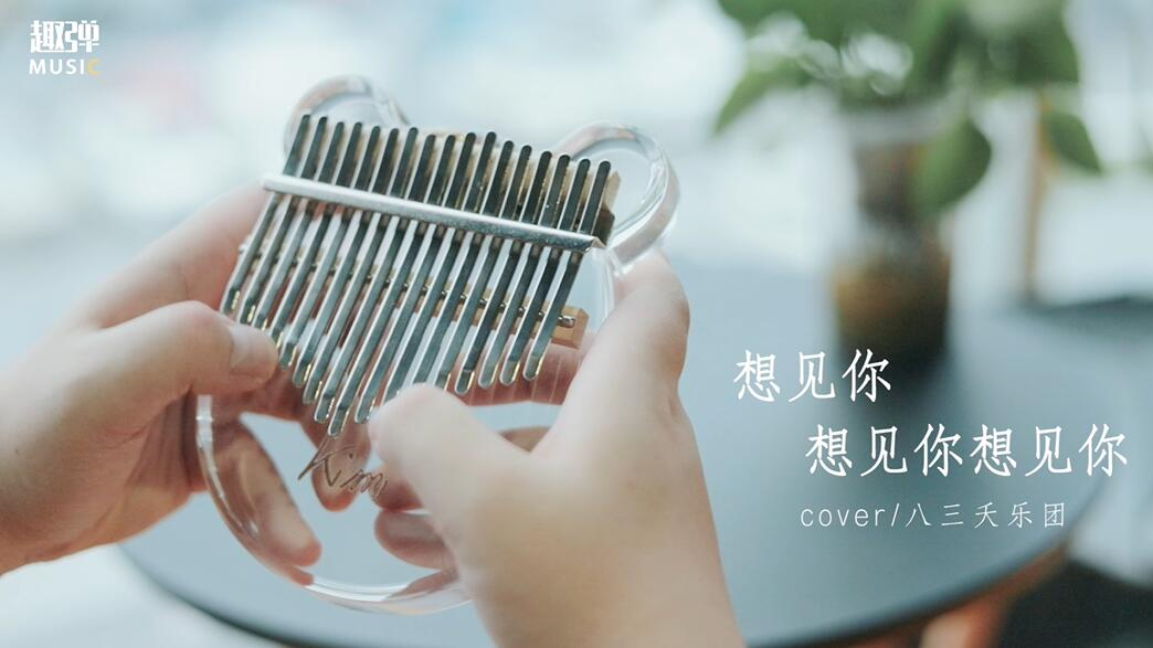 《想见你想见你想见你》卡林巴拇指琴演示