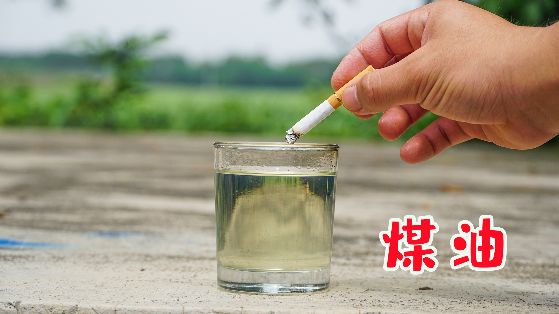 将点燃的“烟头”放进煤油里,煤油会被点燃吗?
