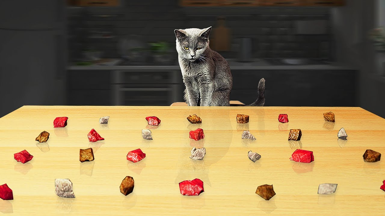 美食当前,猫咪会选择哪种肉食,生的,烤的,还是煮熟的 ?