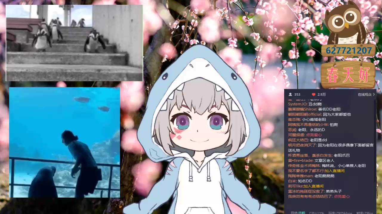 【直播唱歌合集】4月16日晚小啾唱的9首歌(一夜九次娘)?