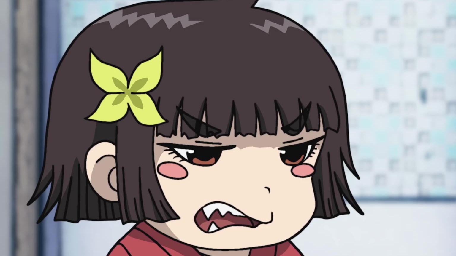 【4月新番打卡】离家出走的榻榻米酱!!!