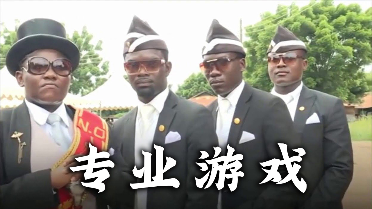 描述死亡最专业的游戏