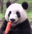 这个吃播看的人也太爽了吧