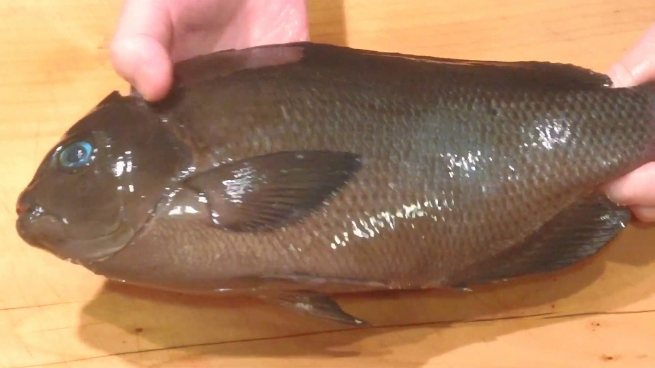 日本大厨制作生鱼片《黑处理和烤皮》全过程!一直都保持着干净!