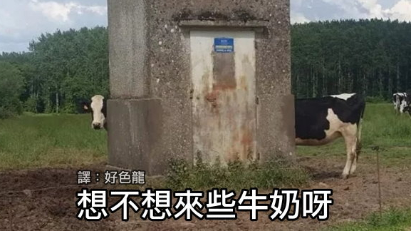 网络上那些有趣的沙雕图合集-第142期