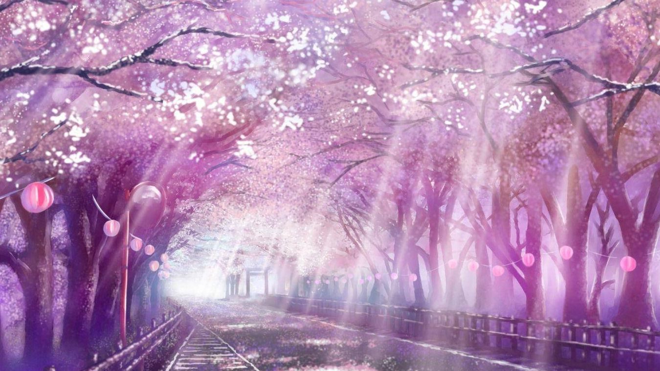 【无限单曲循环】唯美动漫风景,让樱花带你感受春日的爱