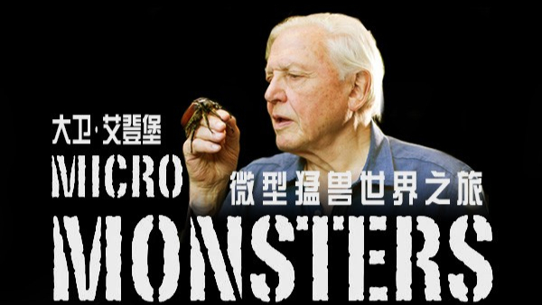 【纪实/昆虫】大卫·艾登堡的微型猛兽世界之旅 (2013)