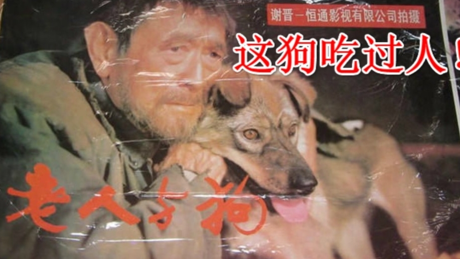 真实案件!变态杀人魔带狗拍电影,拍完才知道,这狗吃过6个人肉!